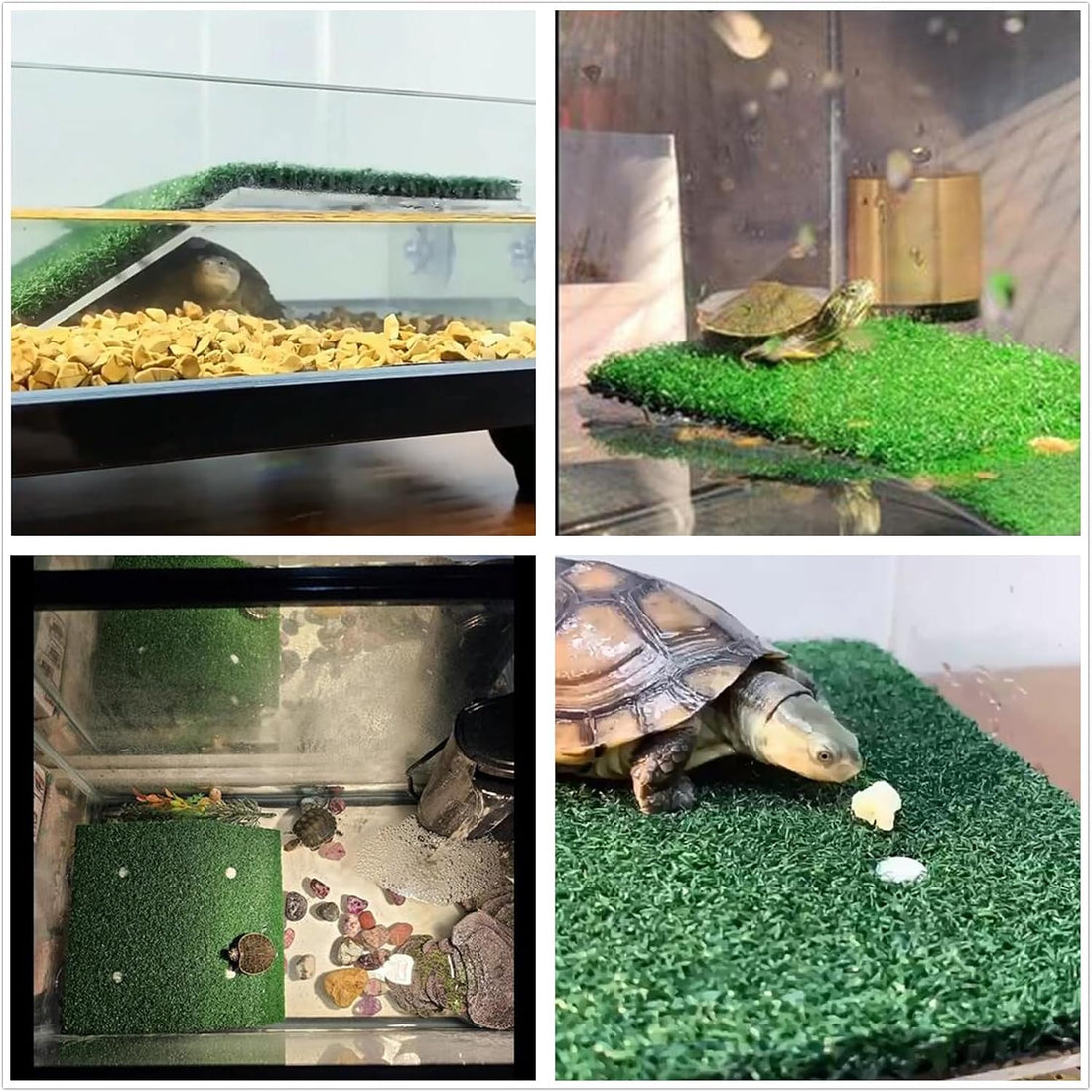 alfyng Small Turtle Resting Basking Platform