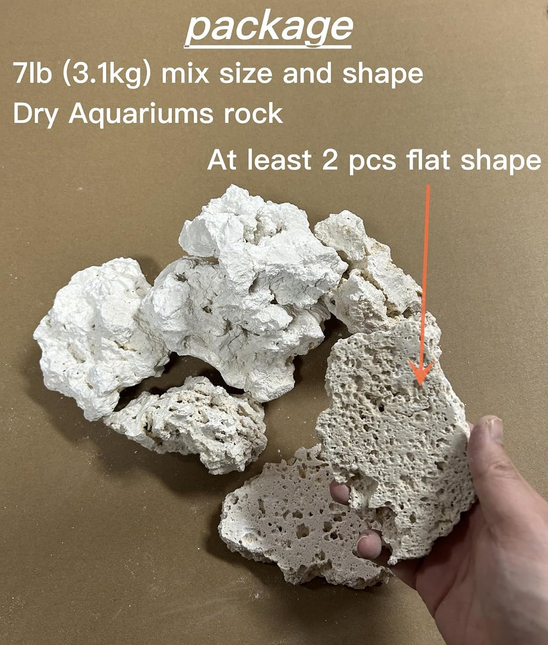 YZHZOM Dry Base Rock for Aquarium White Coral Ornament Sea Base Rocks