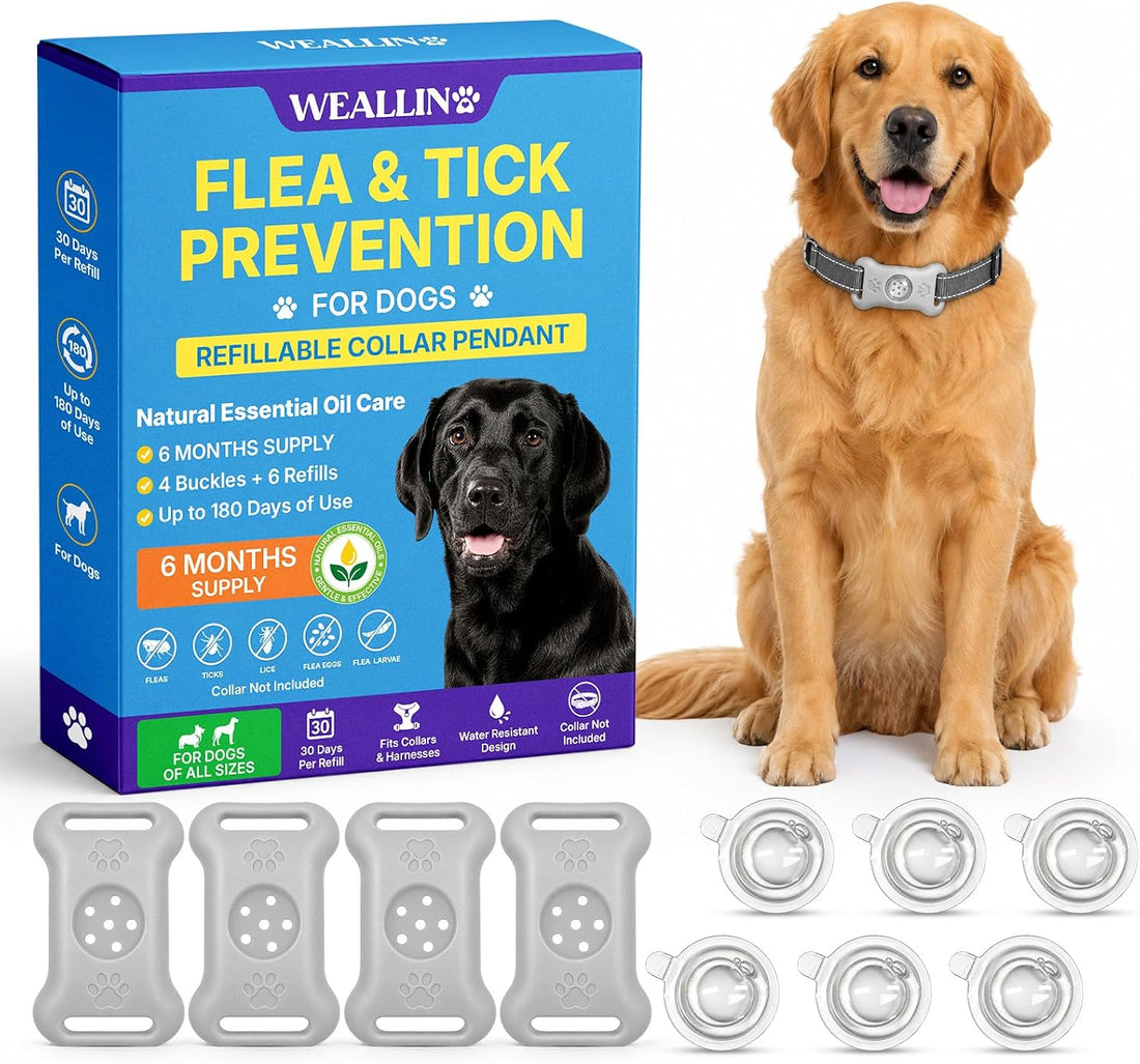 Flea Collar for Dogs, Refillable Collar Pendant 4 Clips + 6 Refills