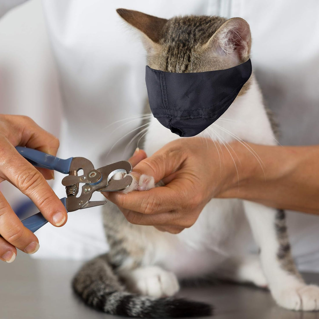 Downtown Pet Supply - Cat Muzzle for Grooming - Gentle and Soft Muzzle