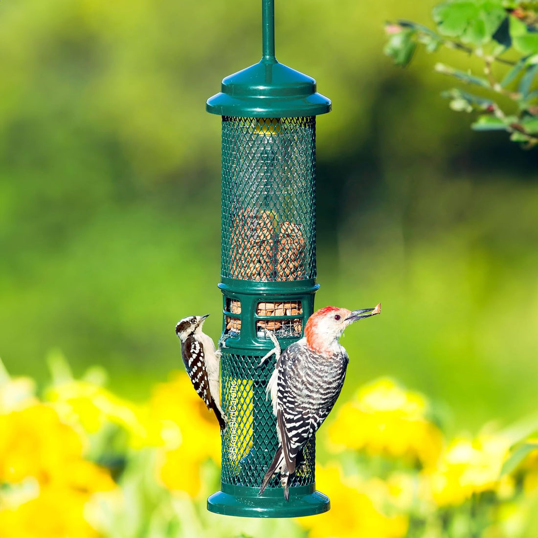 Squirrel Buster Nut Truly Squirrel-Proof Bird Feeder