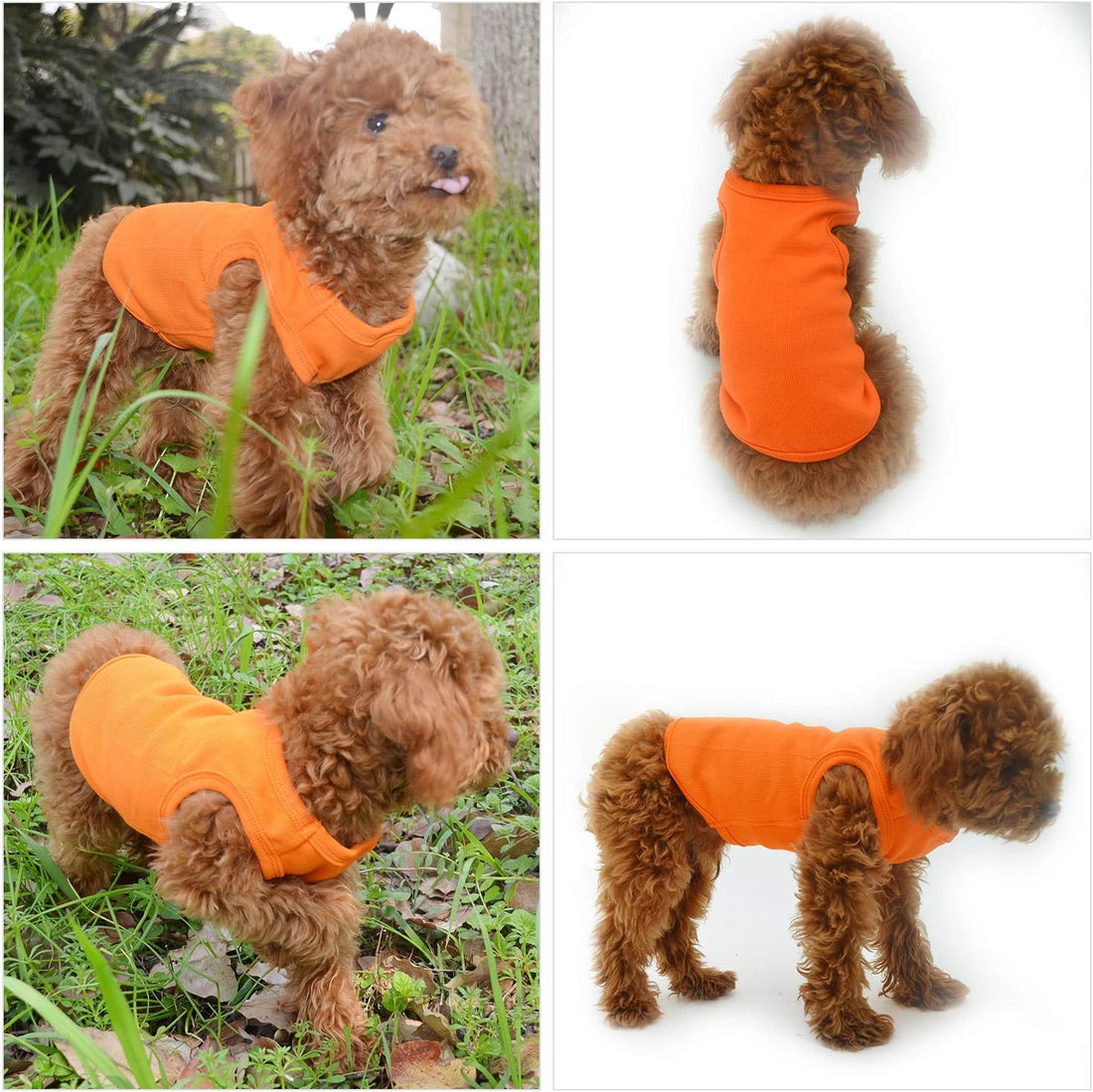 Lovelonglong 2019 Summer Pet Clothing