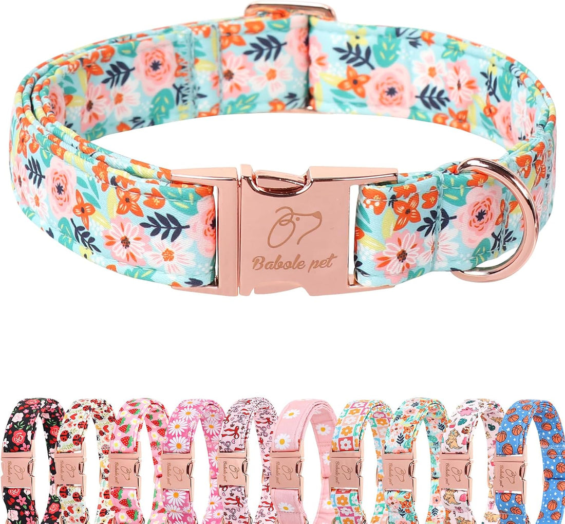 Halloween Dog Collar, Purple Pumpkin Bat Print Puppy Collar
