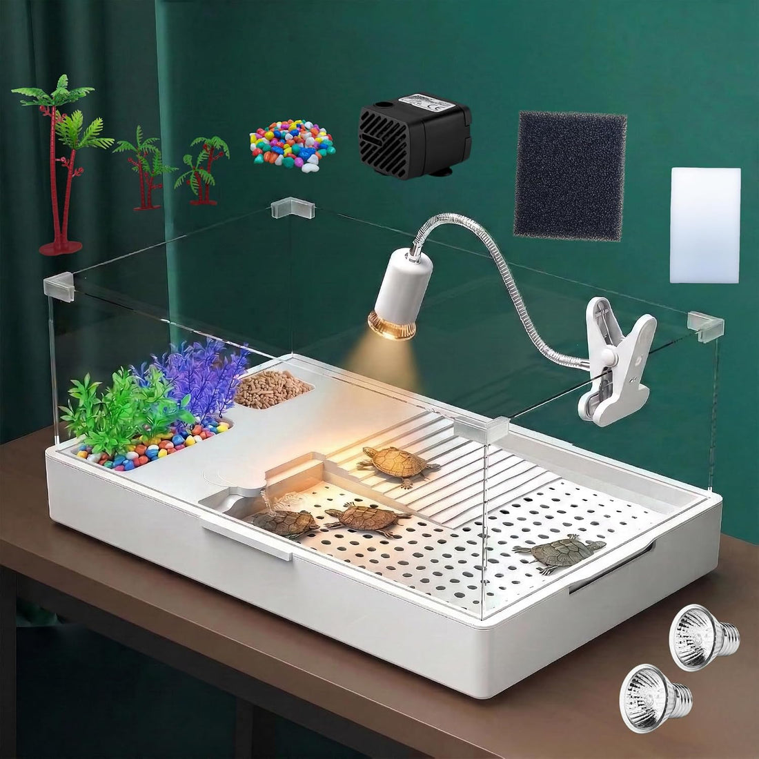 Medium Turtle Tank with Water Pump