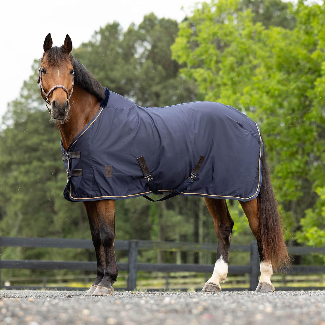Equinavia Vind Lightweight Stable Blanket for Horses