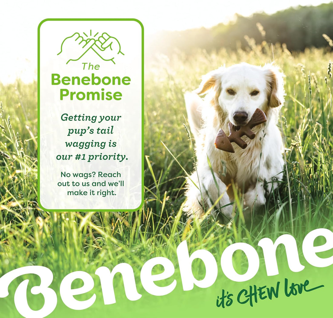 Benebone Fishbone Durable Dog Chew Toy for Aggressive Chewers