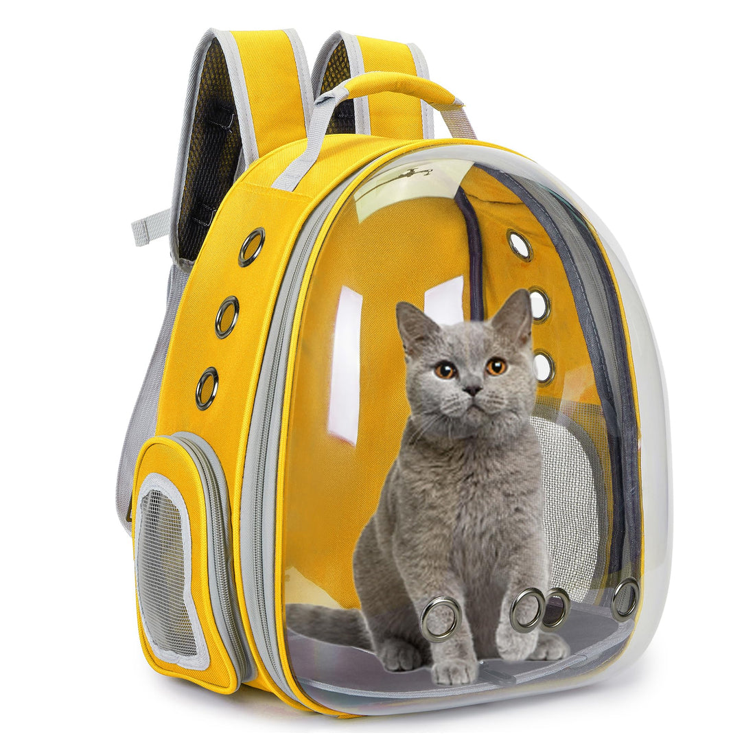 Cat Bubble Backpack Carrier for Small Medium Dogs Cats Carrying Bag