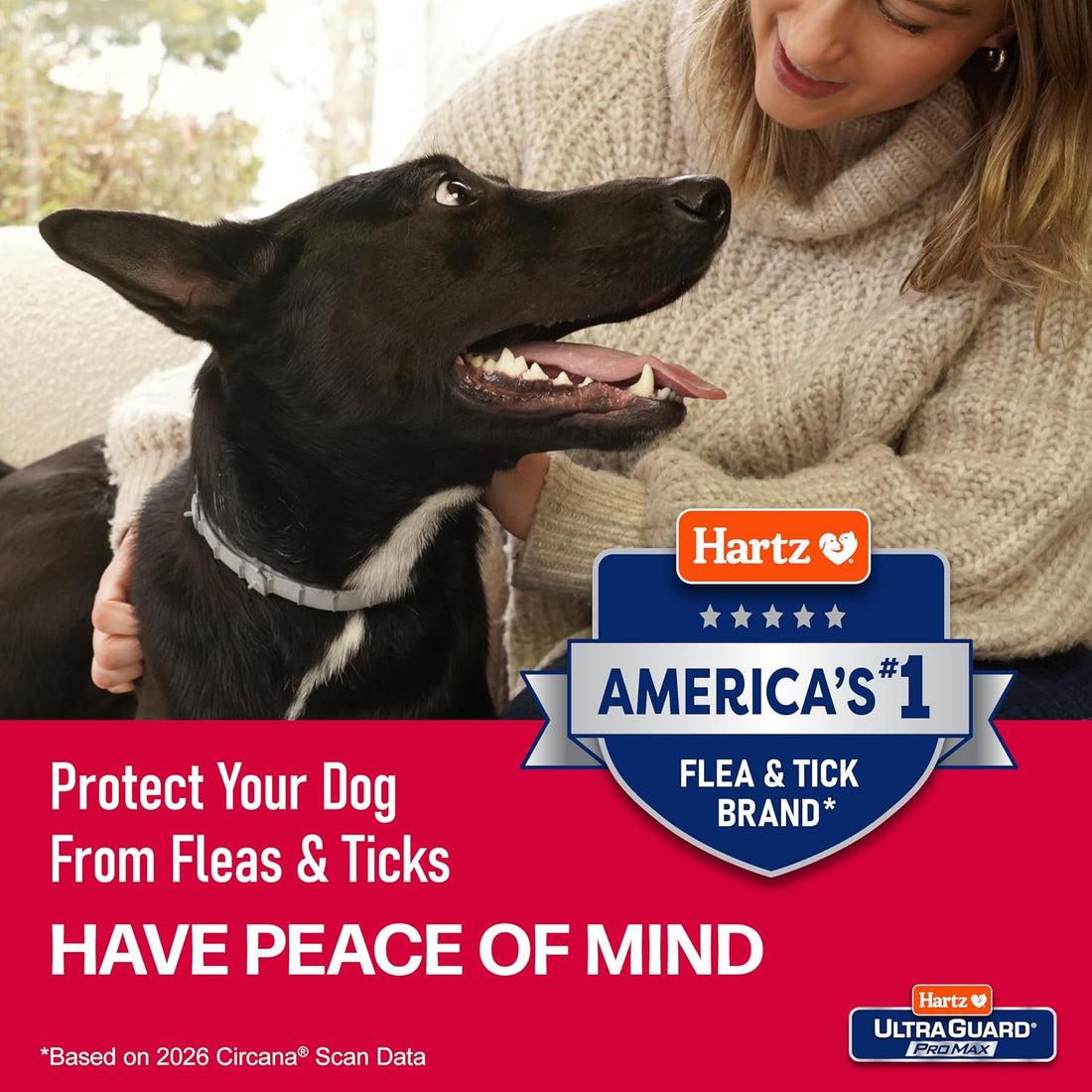 Hartz UltraGuard ProMax Flea & Tick Collar for Dogs I 12 Months