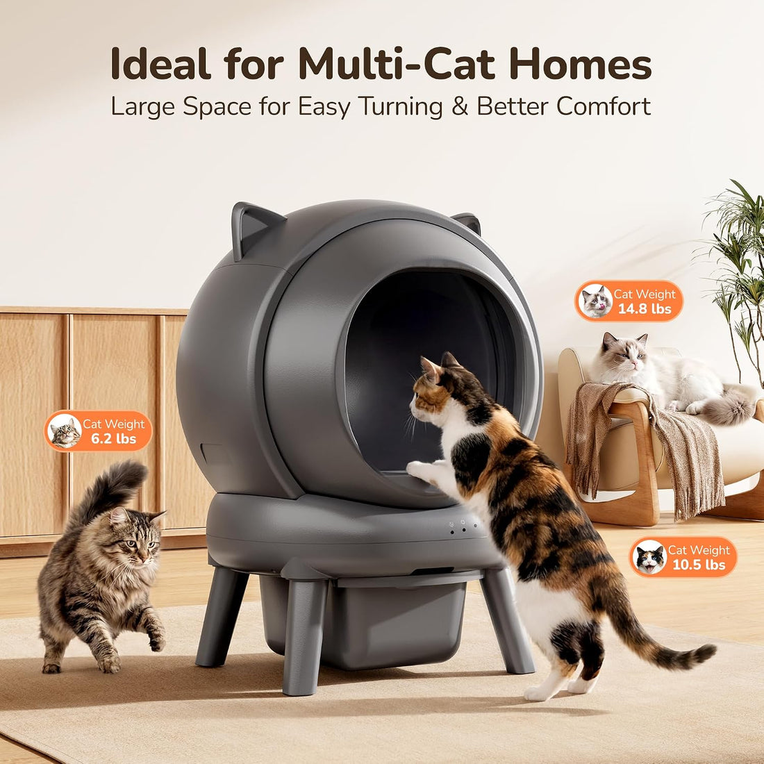 Automatic Self Cleaning Litter Box, Cat Litter Box, Robot Litter Box
