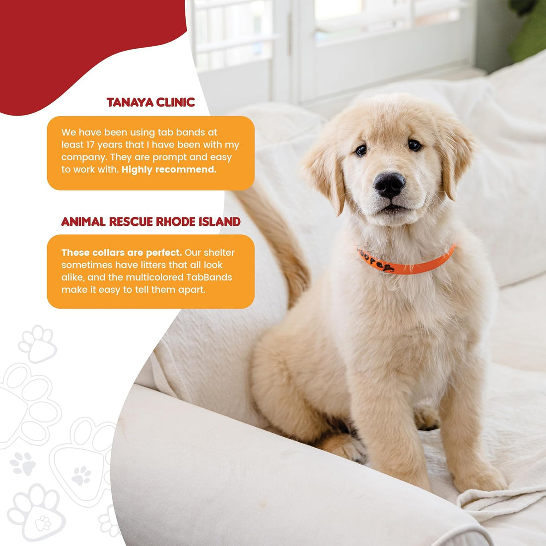 Max Premium Pet ID Collars - 20 Inch - 500 Count - Variety