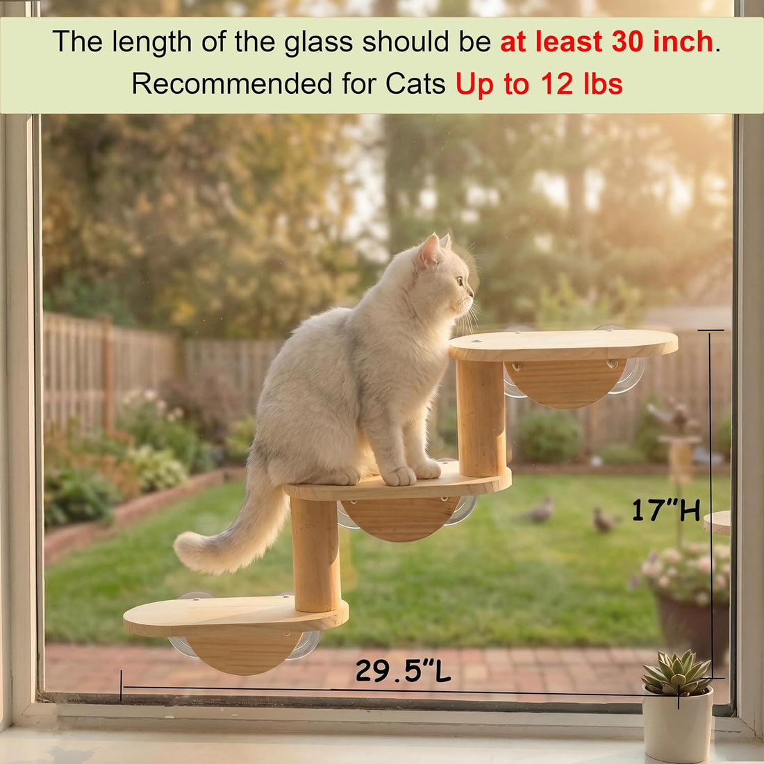 Cat Window Ladder, 3-Level Solid Pine Steps for Climbing and Bird