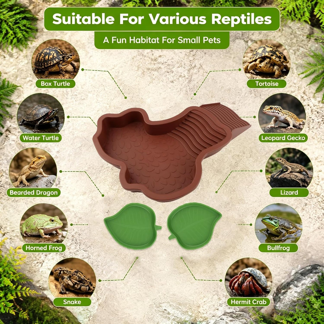 3 Pcs Reptile Bathing Pool Set
