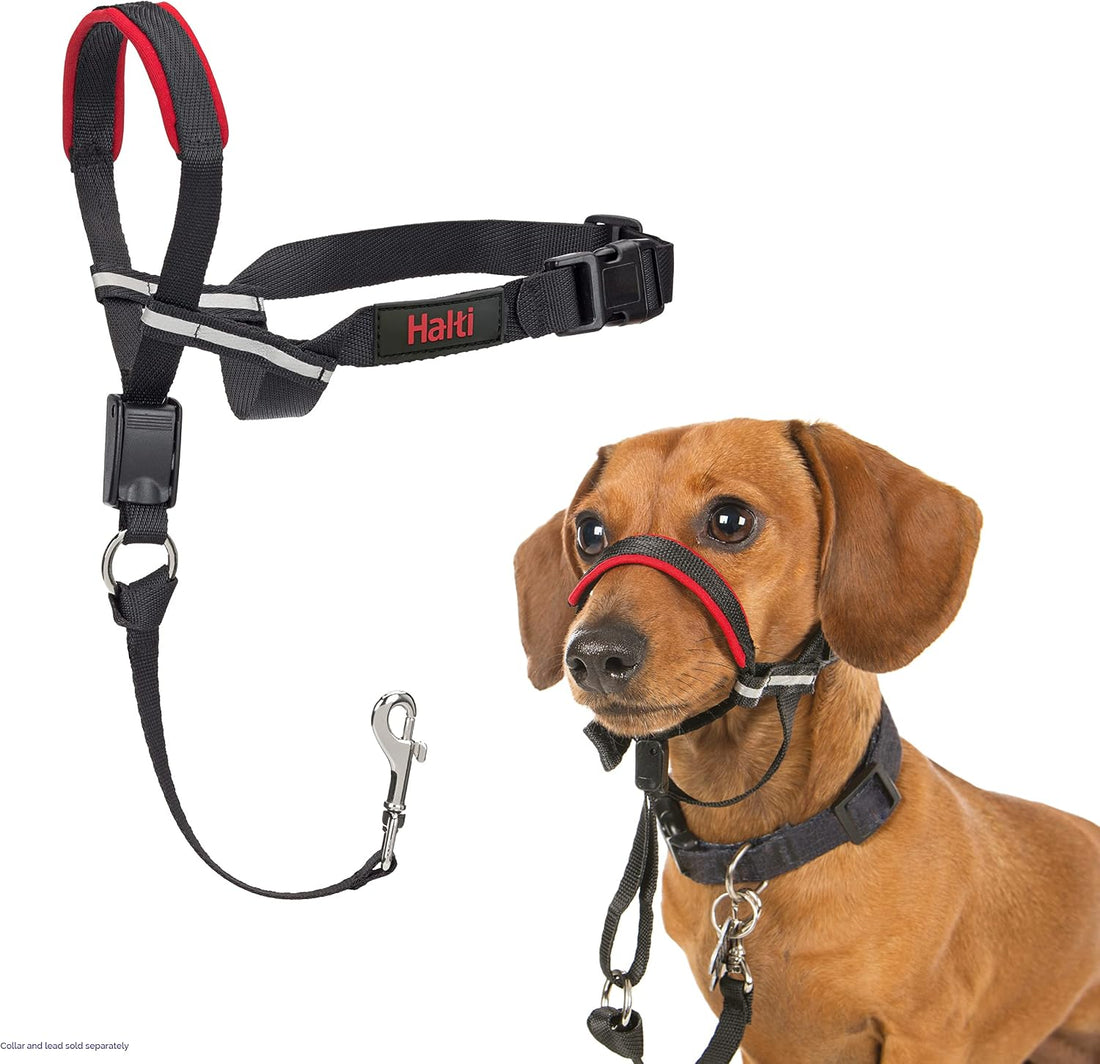 Halti Optifit Headcollar for Dogs | Size L