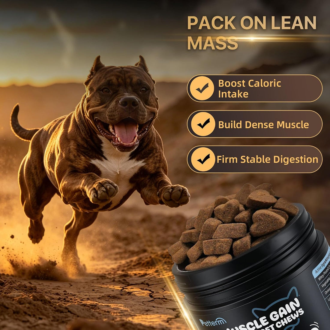 Dog Weight Gainer & Muscle Builder