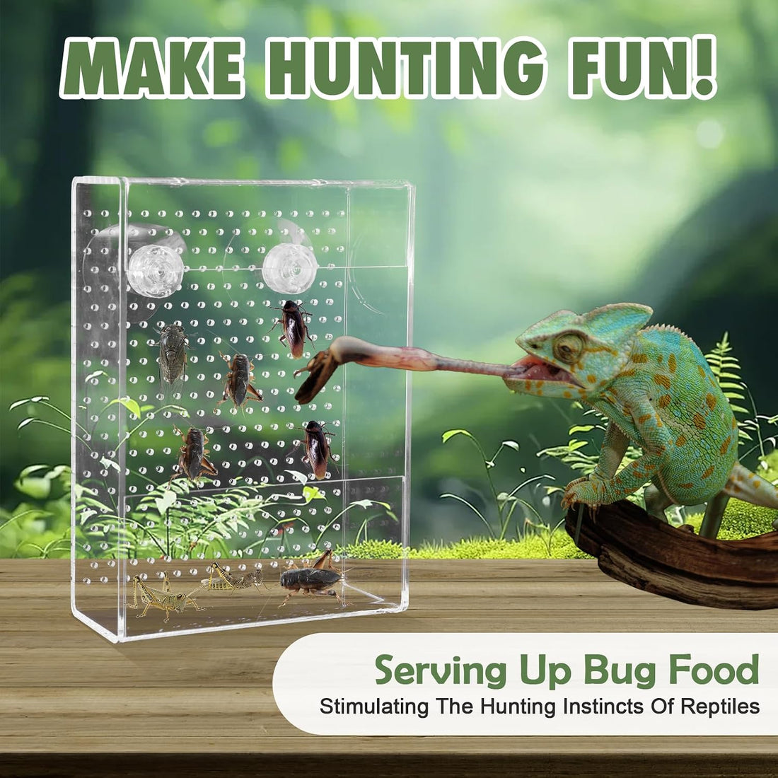 Chameleon Feeder Box with Suction Cups