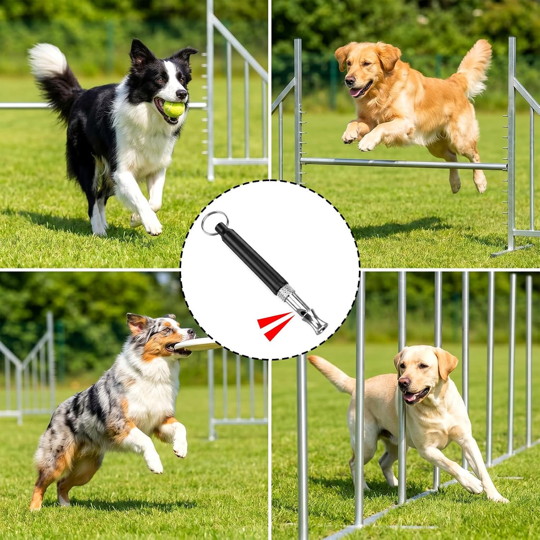 Dog Whistle to Stop Barking, Silent Dogs Training Whistles (Black)