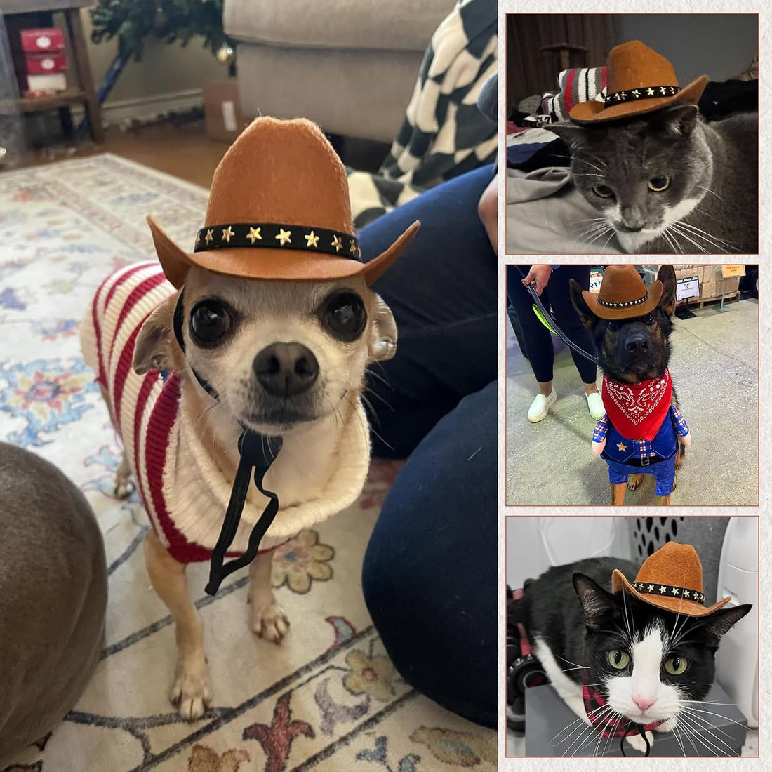 Pet Cowboy Costume, Dog Cowboy Hat with Bandana Scarf