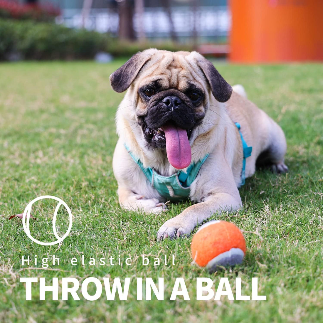 PAWISE Dog Ball Launcher for Small & Medium Dogs