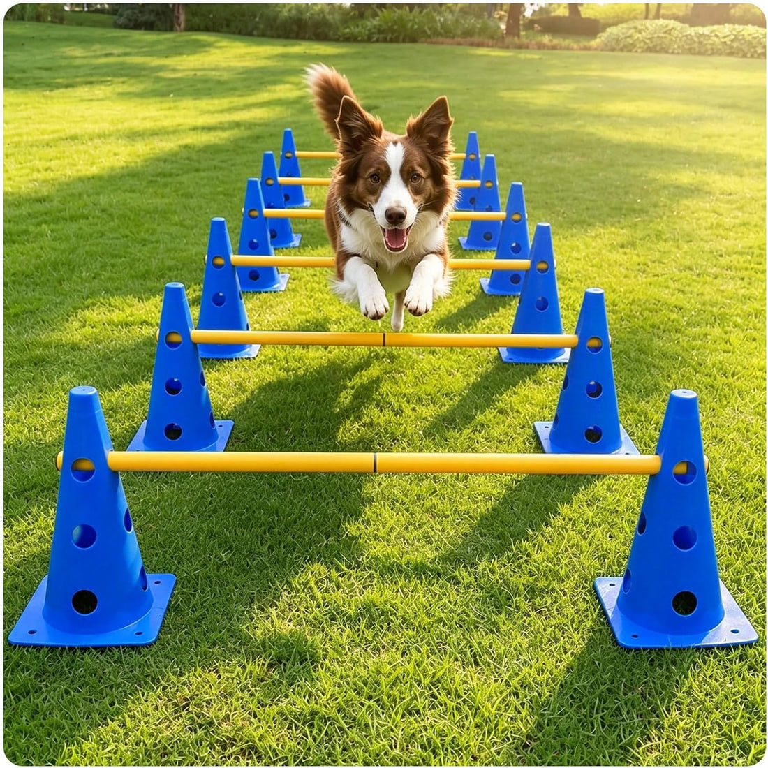 Dog Agility Hurdle, 4 Jump Bar Sets Indoor Outdoor Backyard Train