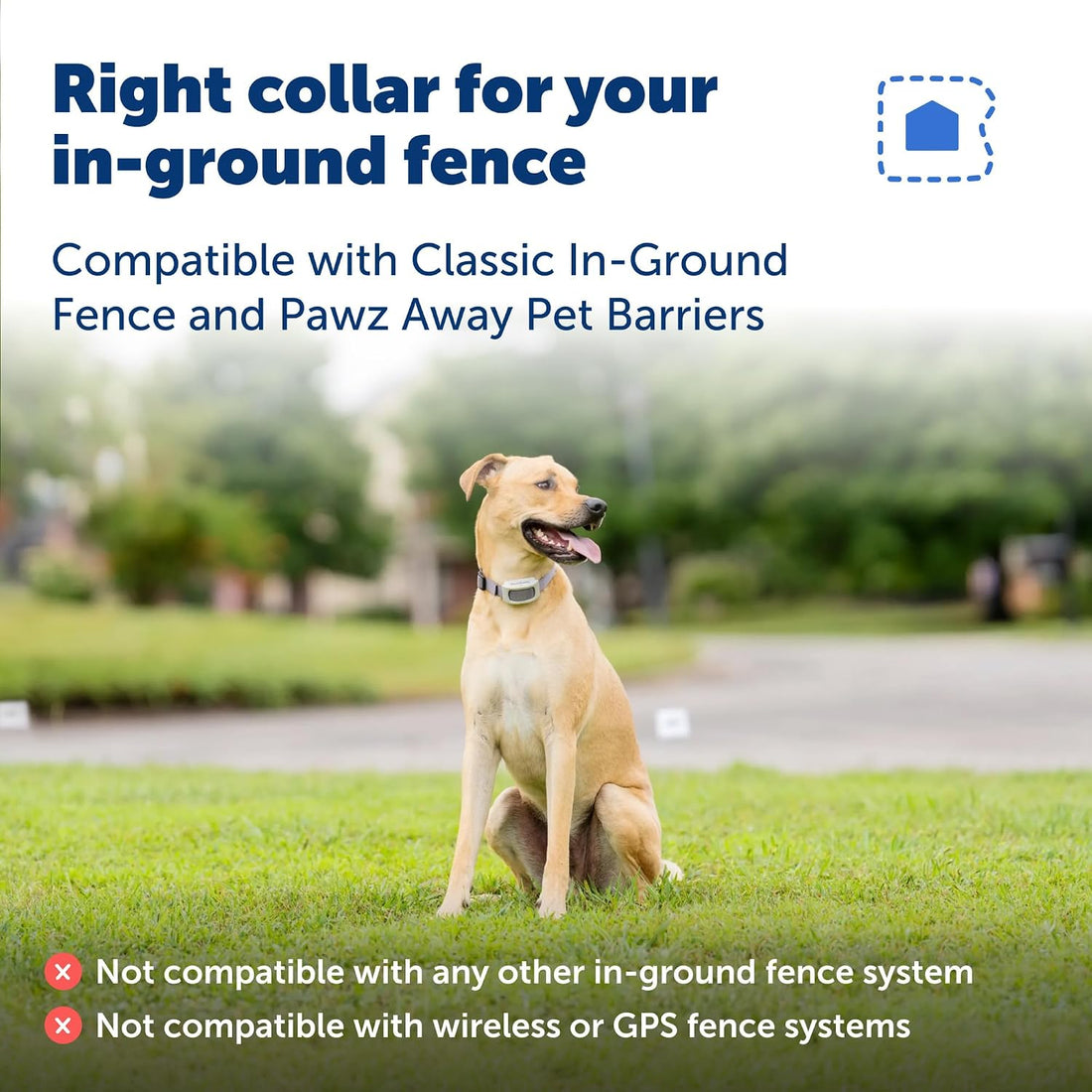 PetSafe Classic In-Ground Fence Collar