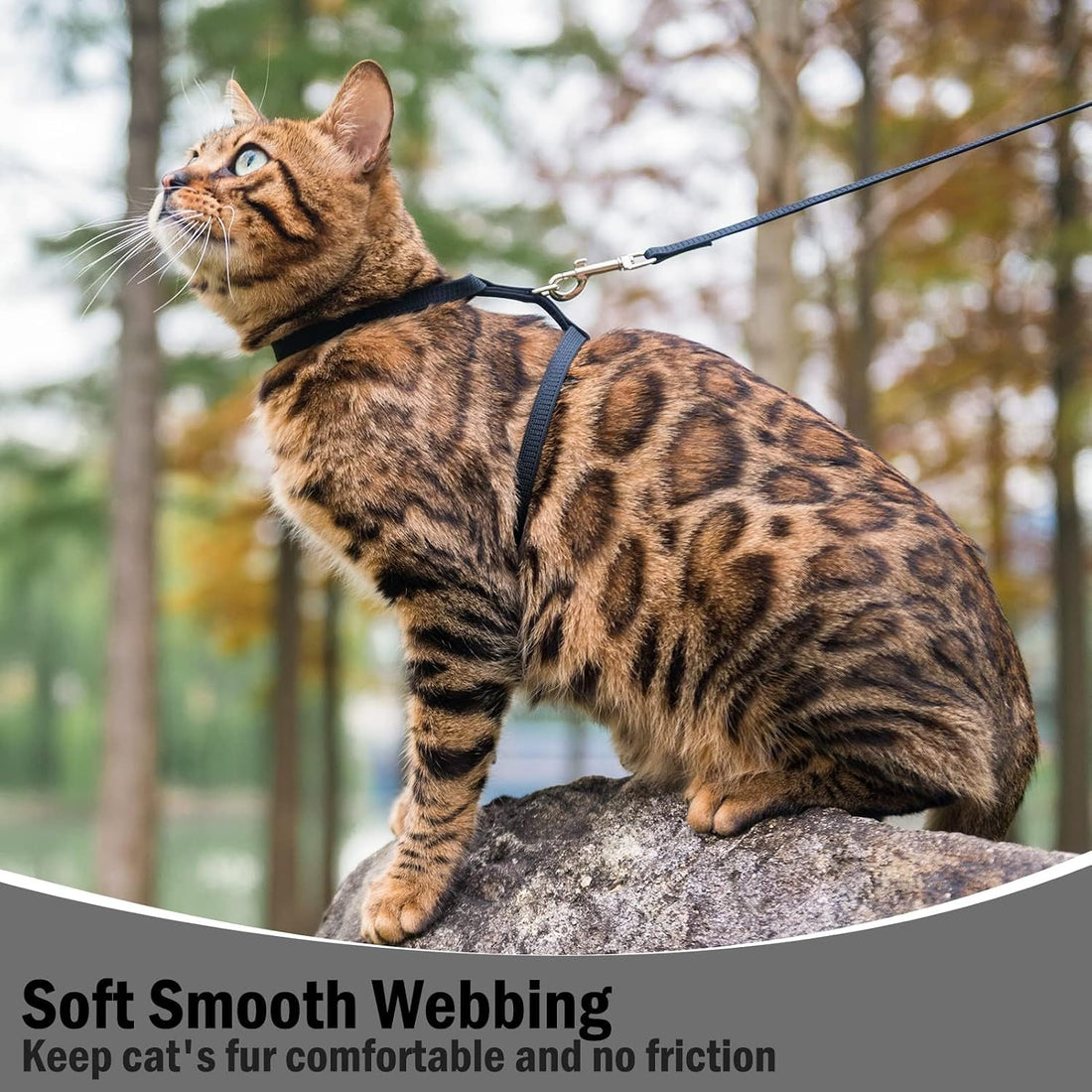 PUPTECK Adjustable Cat Harness and Leash Set Escape Proof Kitten