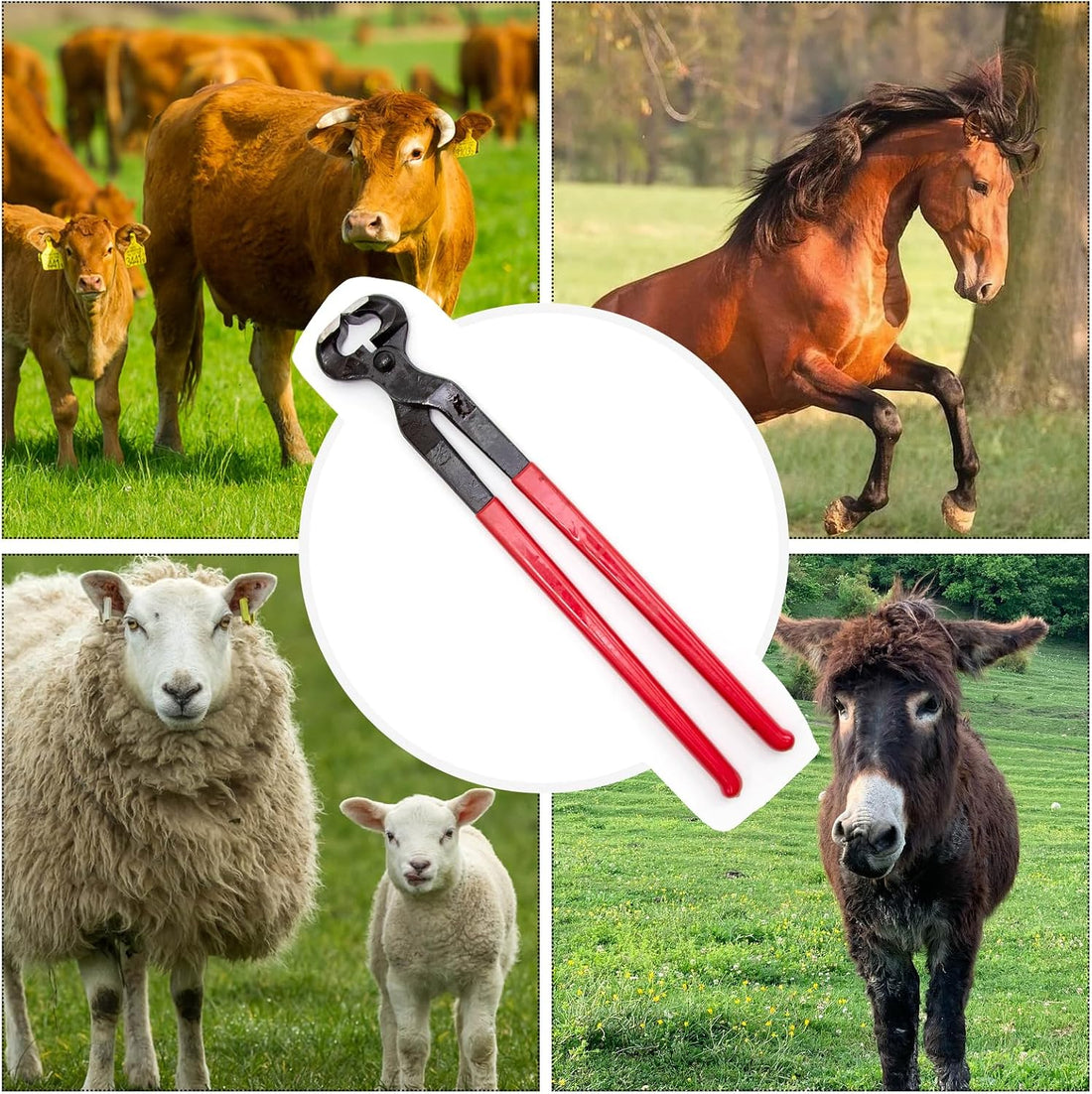 Hoypeyfiy Horse Hoof Nipper, 16 Inches Hoof Trimming Nipper,Horse