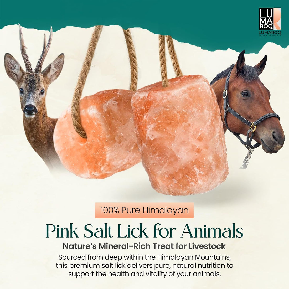 Himalayan Pink Salt Lick On Rope 6lbs for Horses, Deer