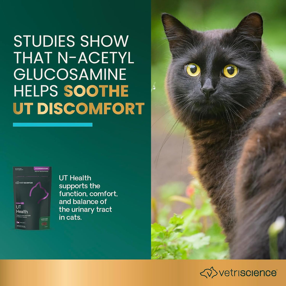 VetriScience UT Health Chews for Cats, Chicken