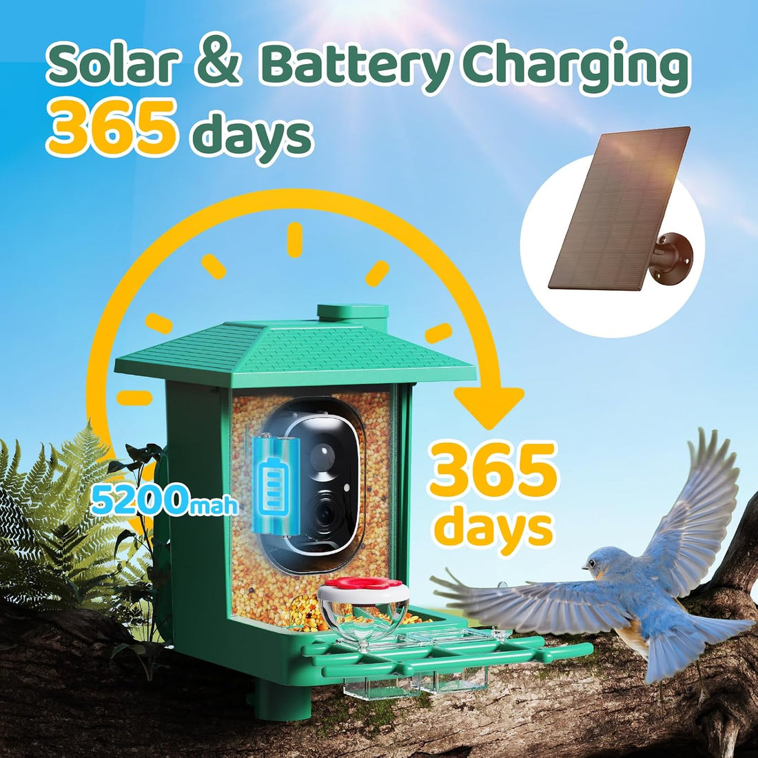 Bird Feeder with Camera Outdoor Solar
