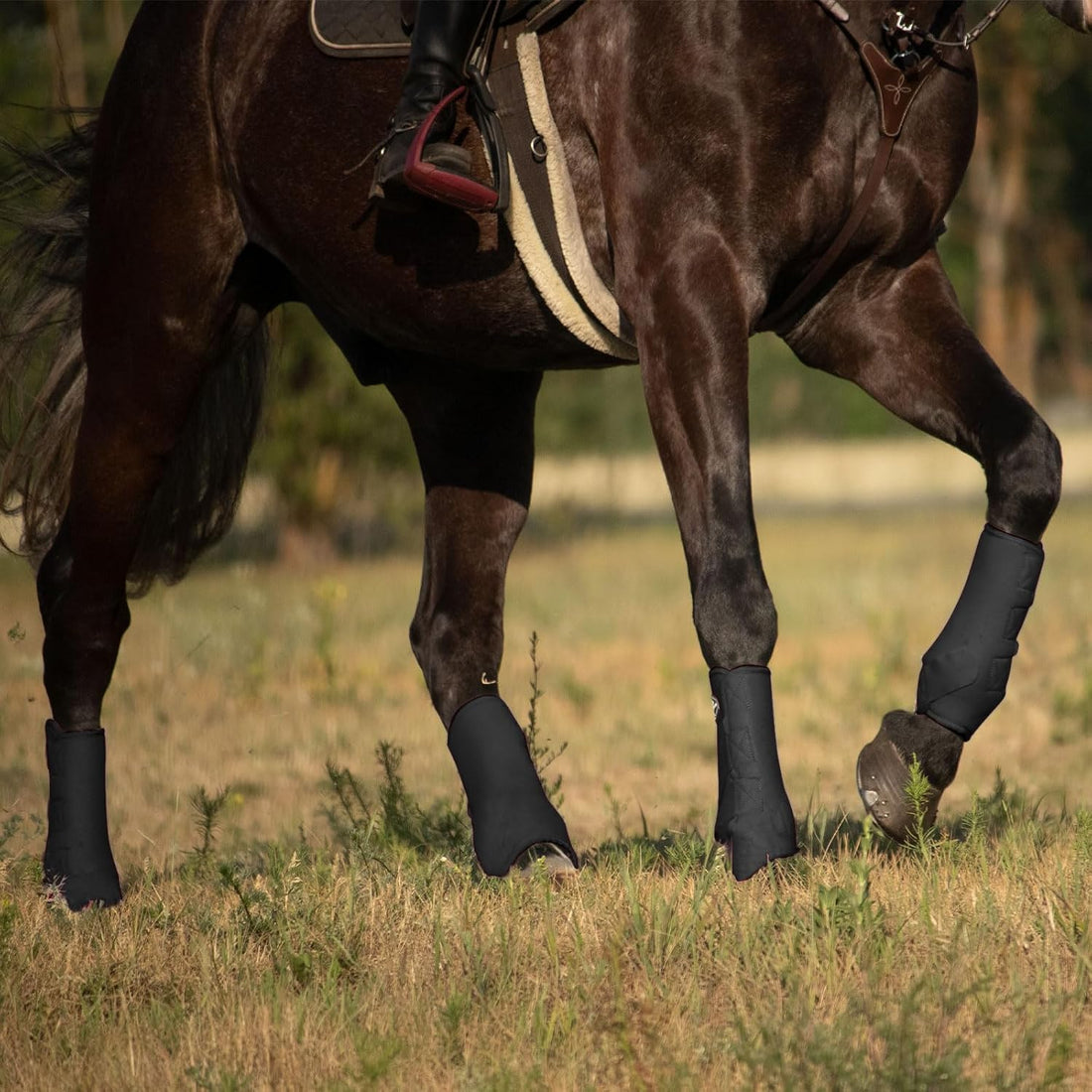 Harrison Howard 4-Pack Horse Sport Boots, Protective Horse Boots