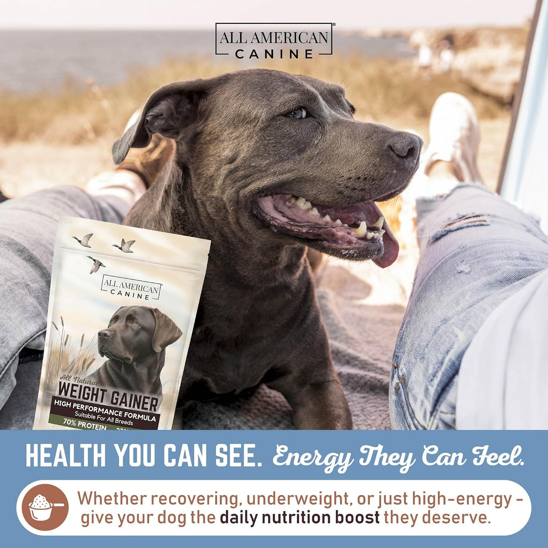 All American Canine Dog Weight Gainer