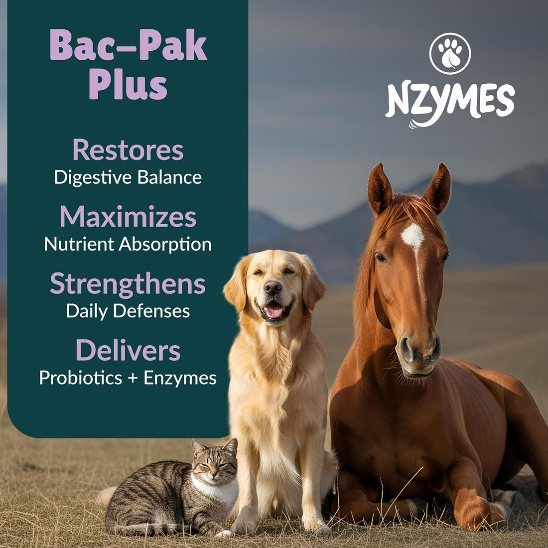 Nzymes Bac-Pak Plus Digestive Enzymes & Probiotics for Pets, 100 Grams
