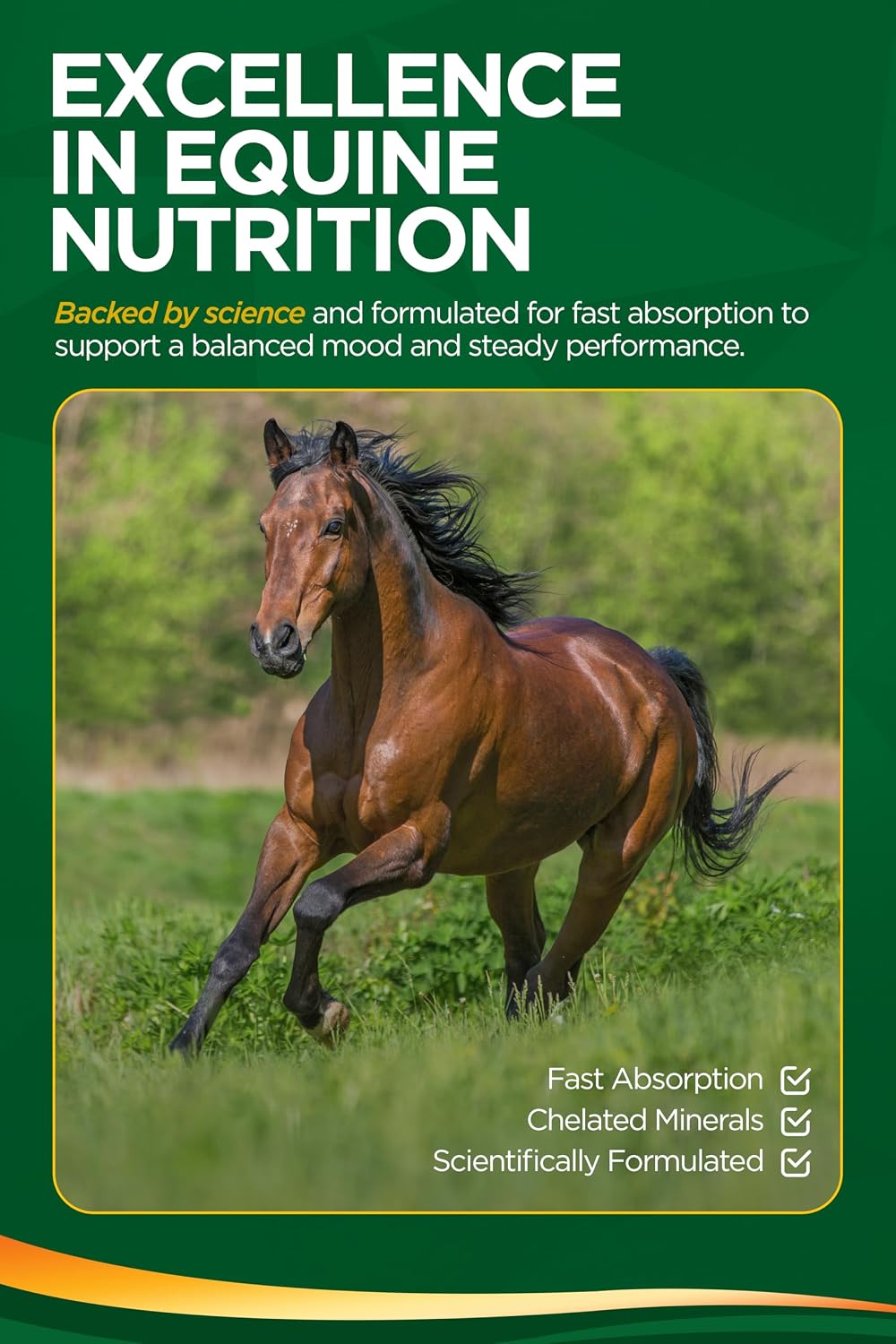 TRM Good as Gold Horse Paste