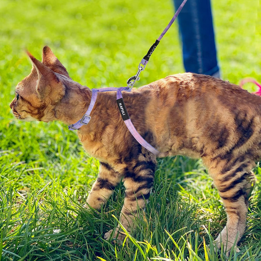 TIESOME Cat Harness and Leash Set