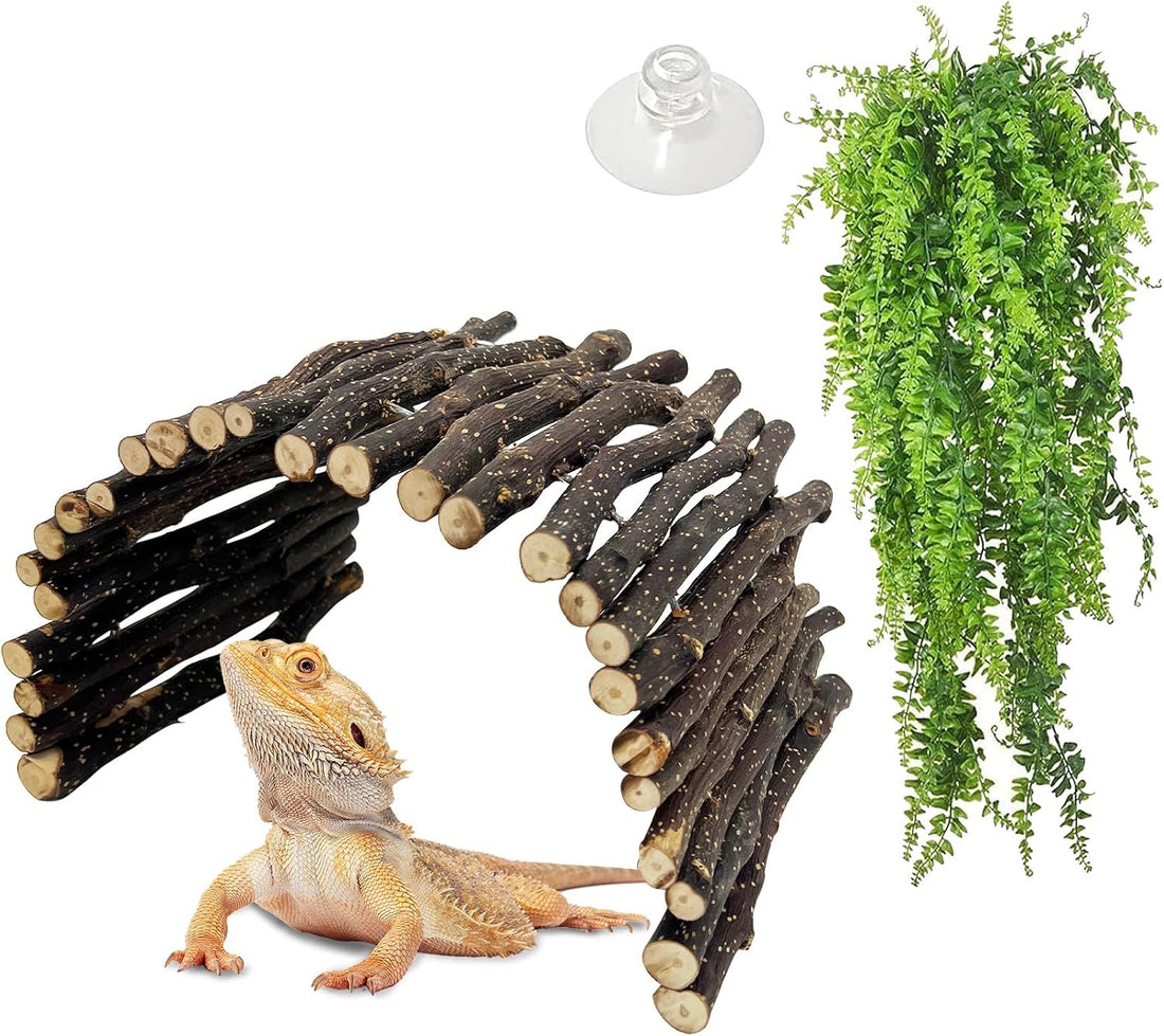 Hamiledyi Extra Large Tortoise Hide Reptile Hideout Wood Turtle Tunnel