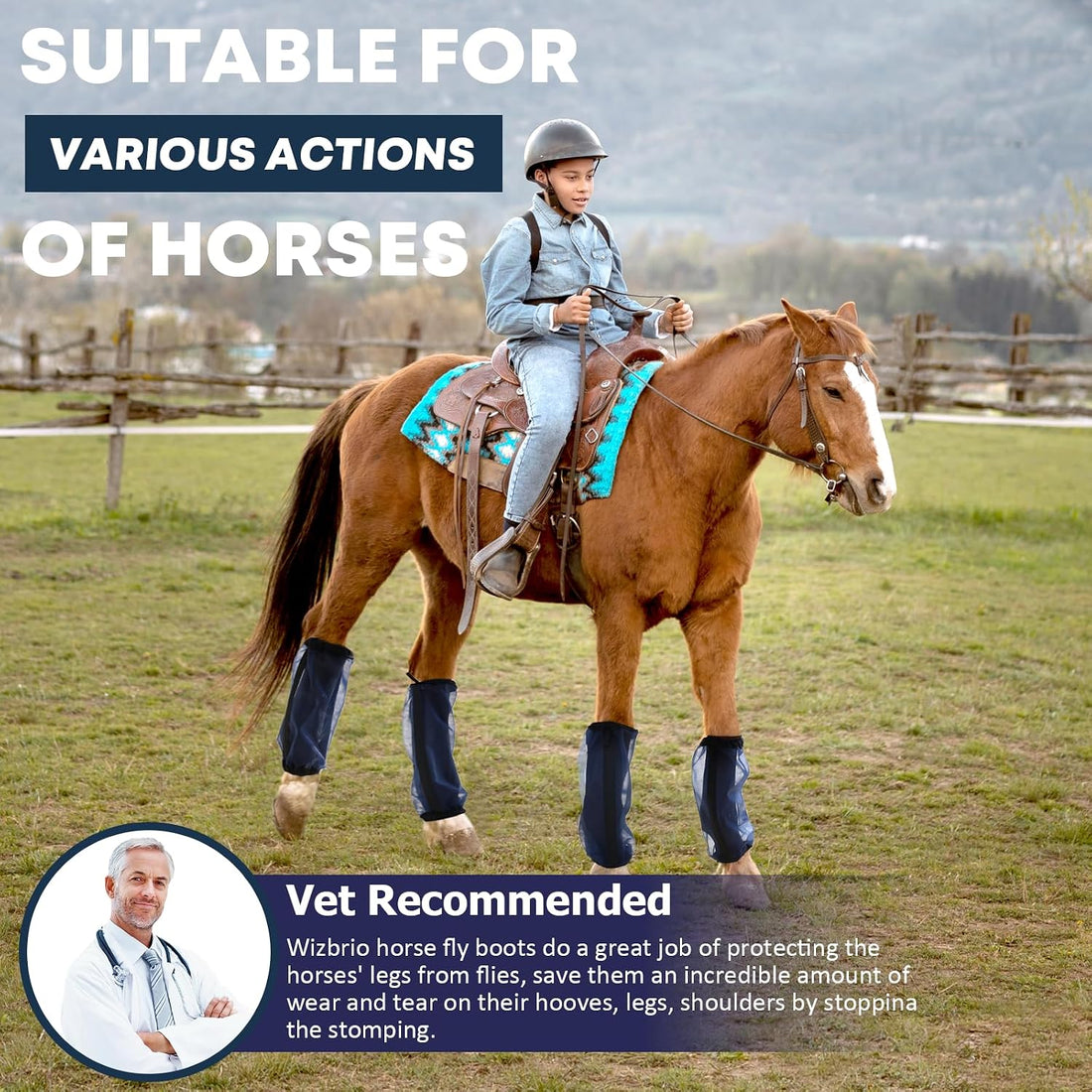 All-Purpose Fine Mesh Horse Fly Boots Breathable Anti-Fly Leggings