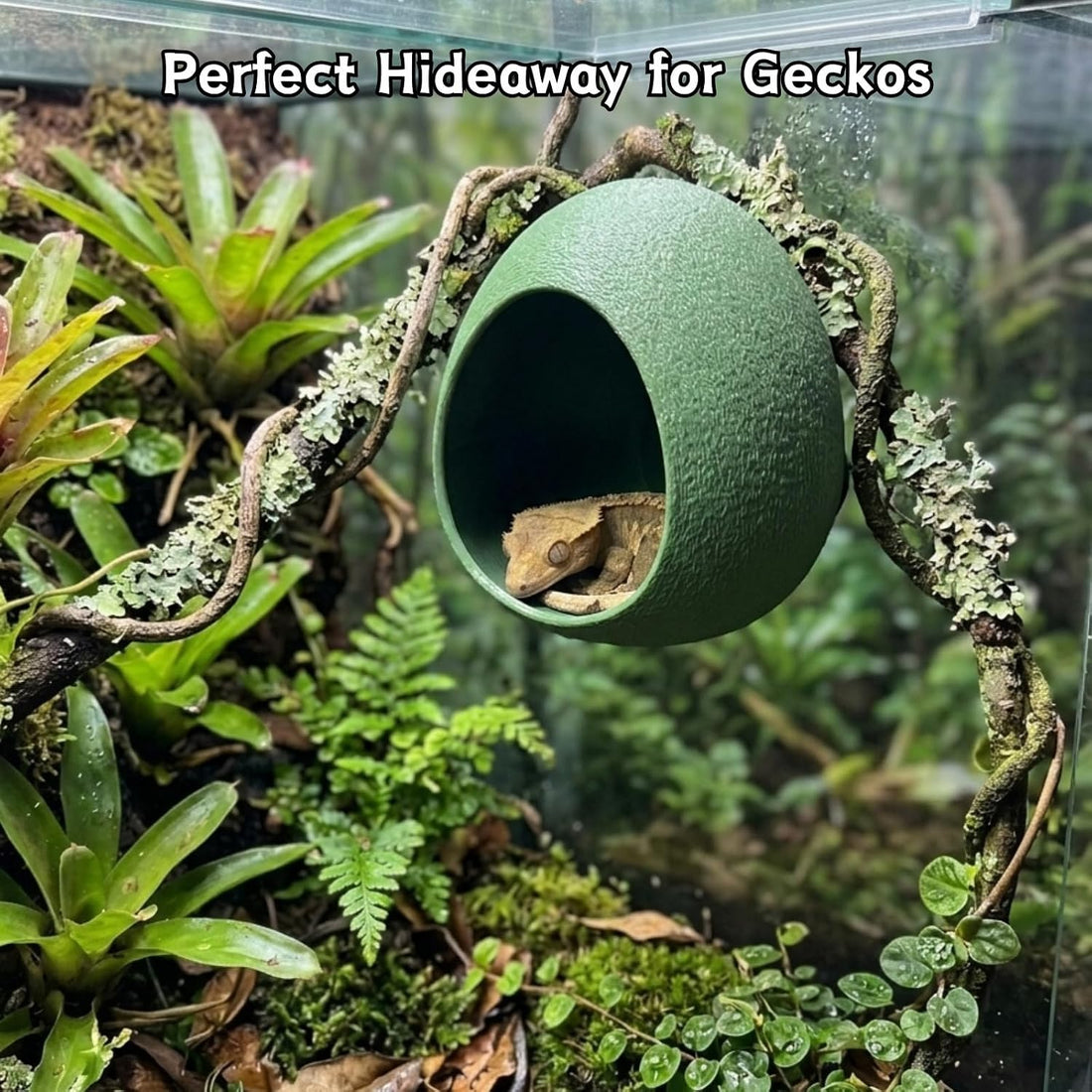 Egg Reptile Hide Cave with Suction Cups, Hanging Gecko Shelter