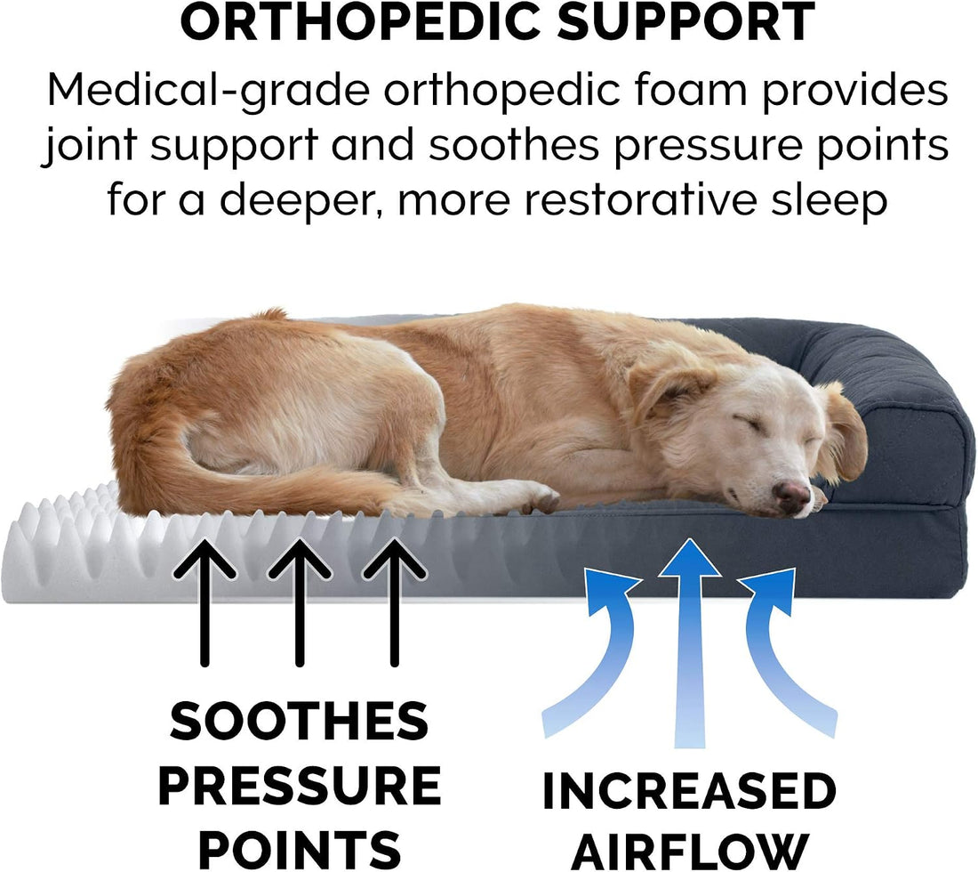 FurHaven Dreamer Sofa Orthopedic Dog Bed for Large Dogs