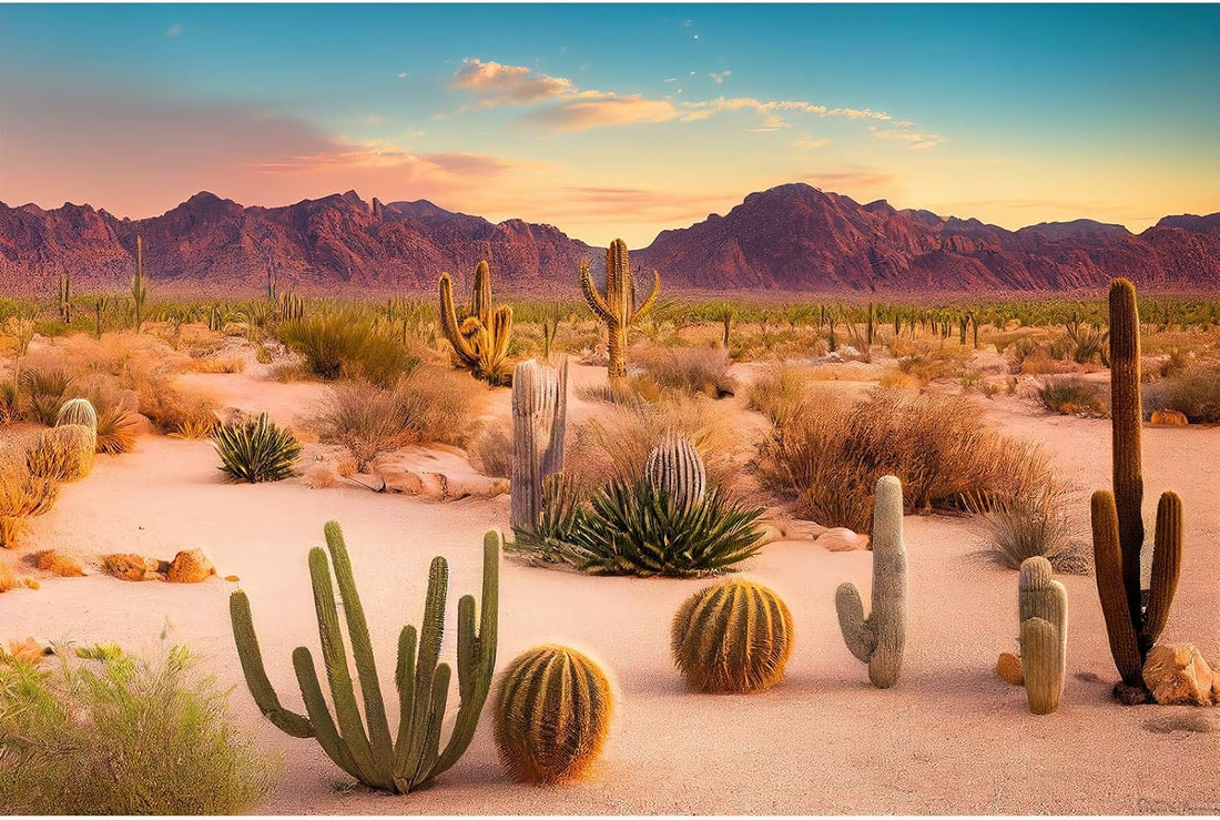 Desert Mountain Reptile Tank Background Sunset Rock Mountain Gobi