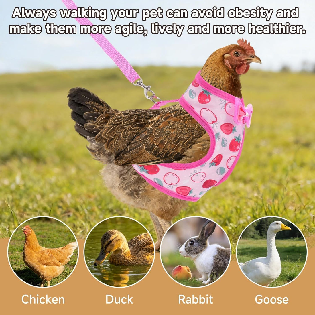 Duck Harness with Leash, Chicken Harness Vest for Goose Hans Pink