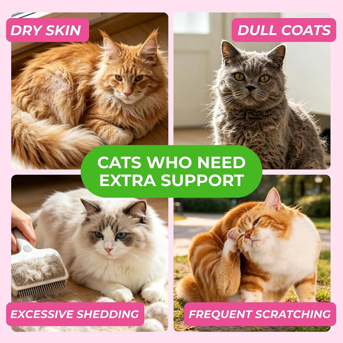 Cat Skin & Coat Supplement with Real Fish Oil & Krill Oil