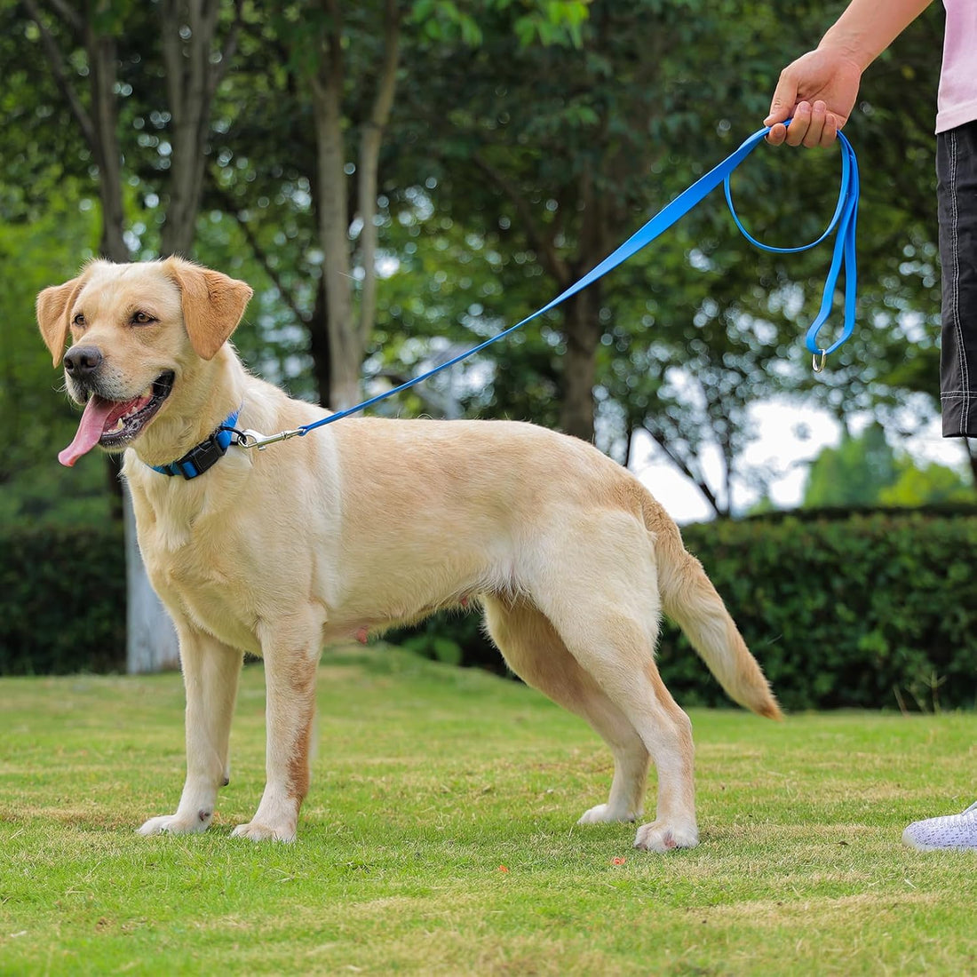 Kidding Pets Waterproof Dog Leash