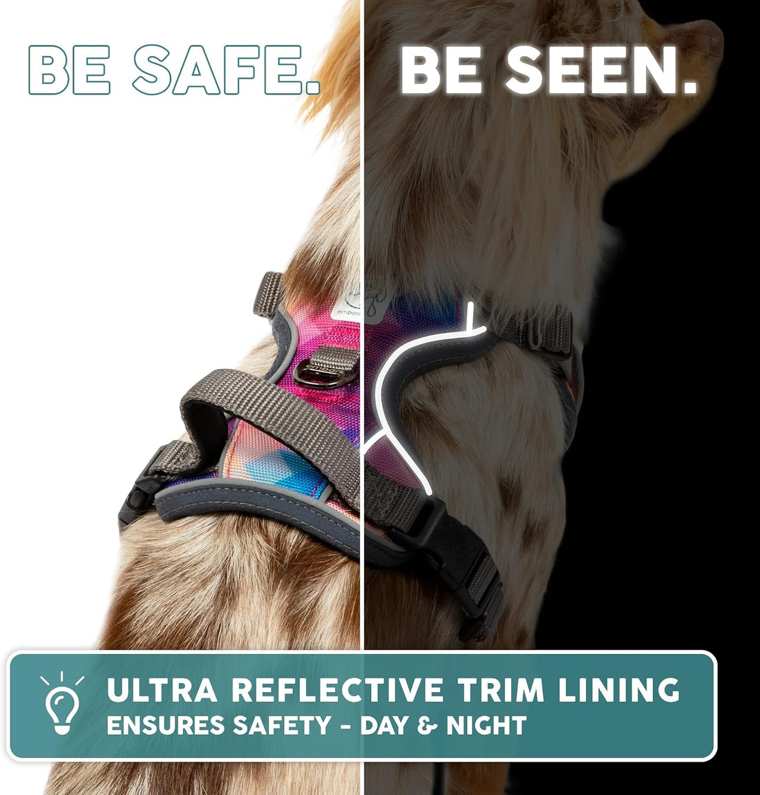 Embark Adventure No Pull Dog Harness