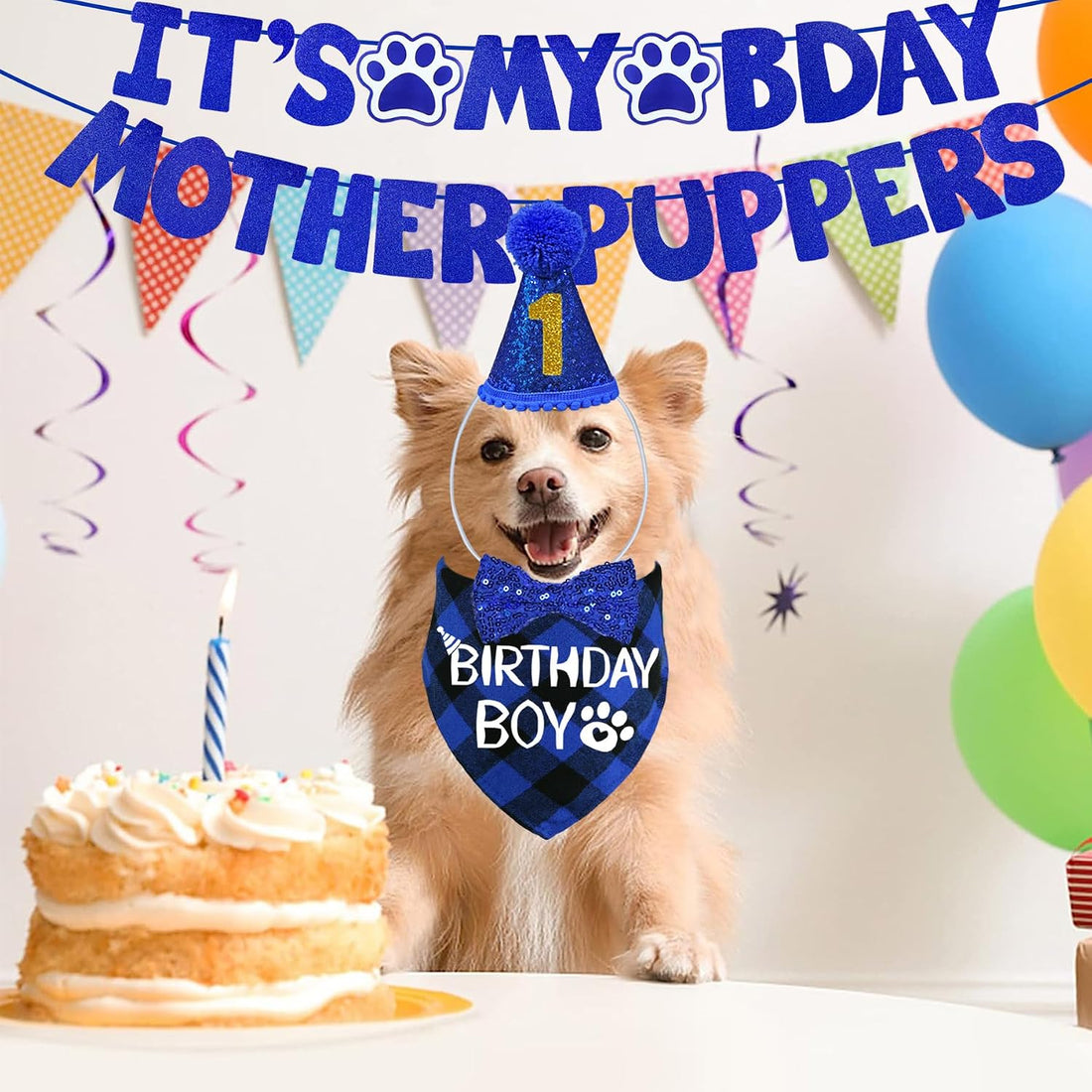 STMK Dog Birthday Decorations