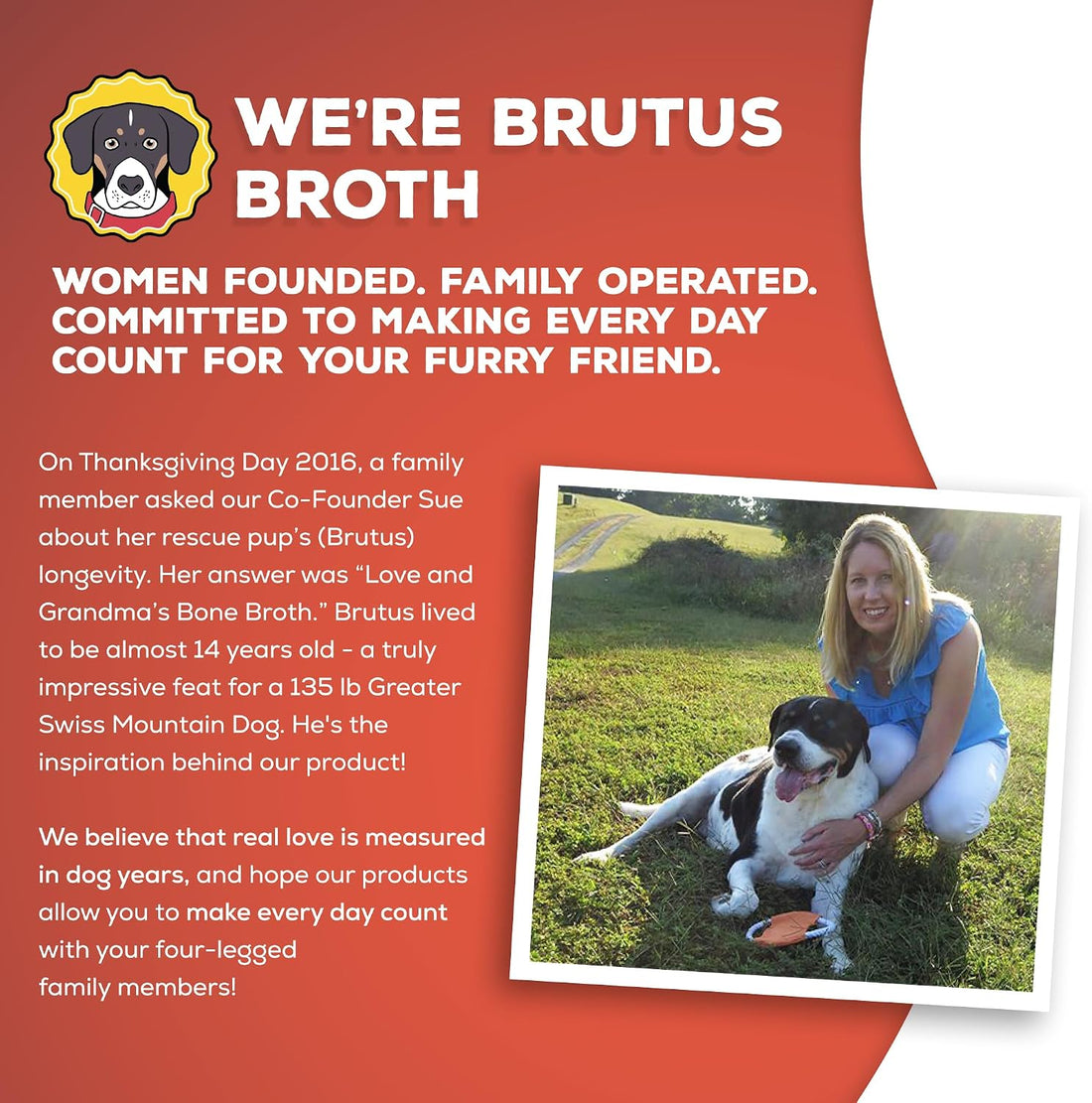 Brutus Beef Bone Broth for Dogs