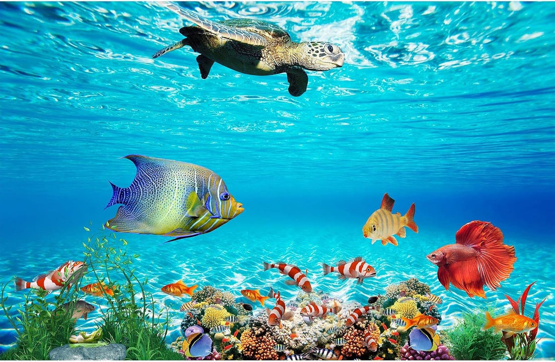 Underwater Aquarium Background Coral Reef Tropical Fish Terrarium