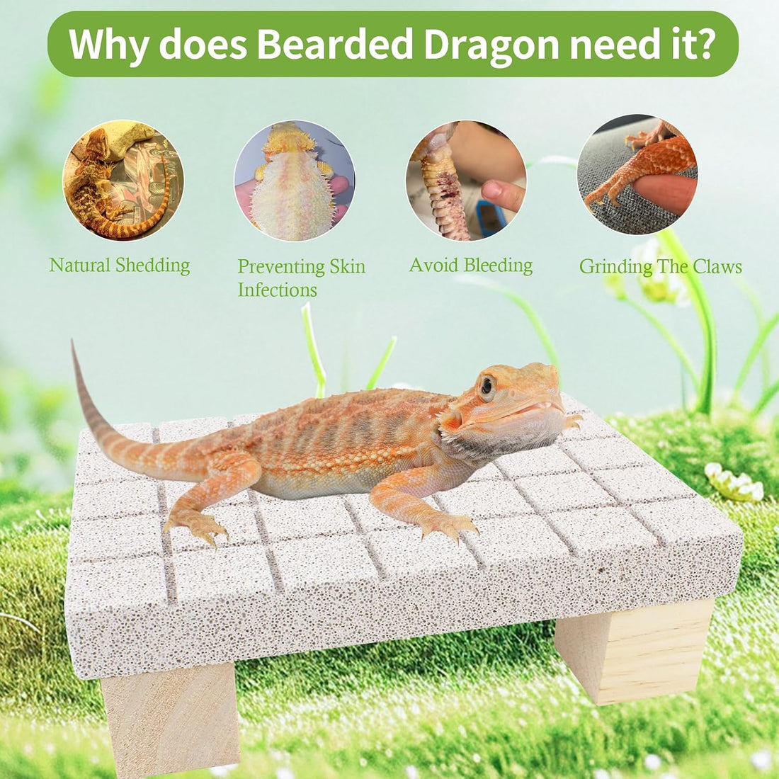 Bearded Dragon Tank Accessories Shedding Rock Reptile Basking Platform