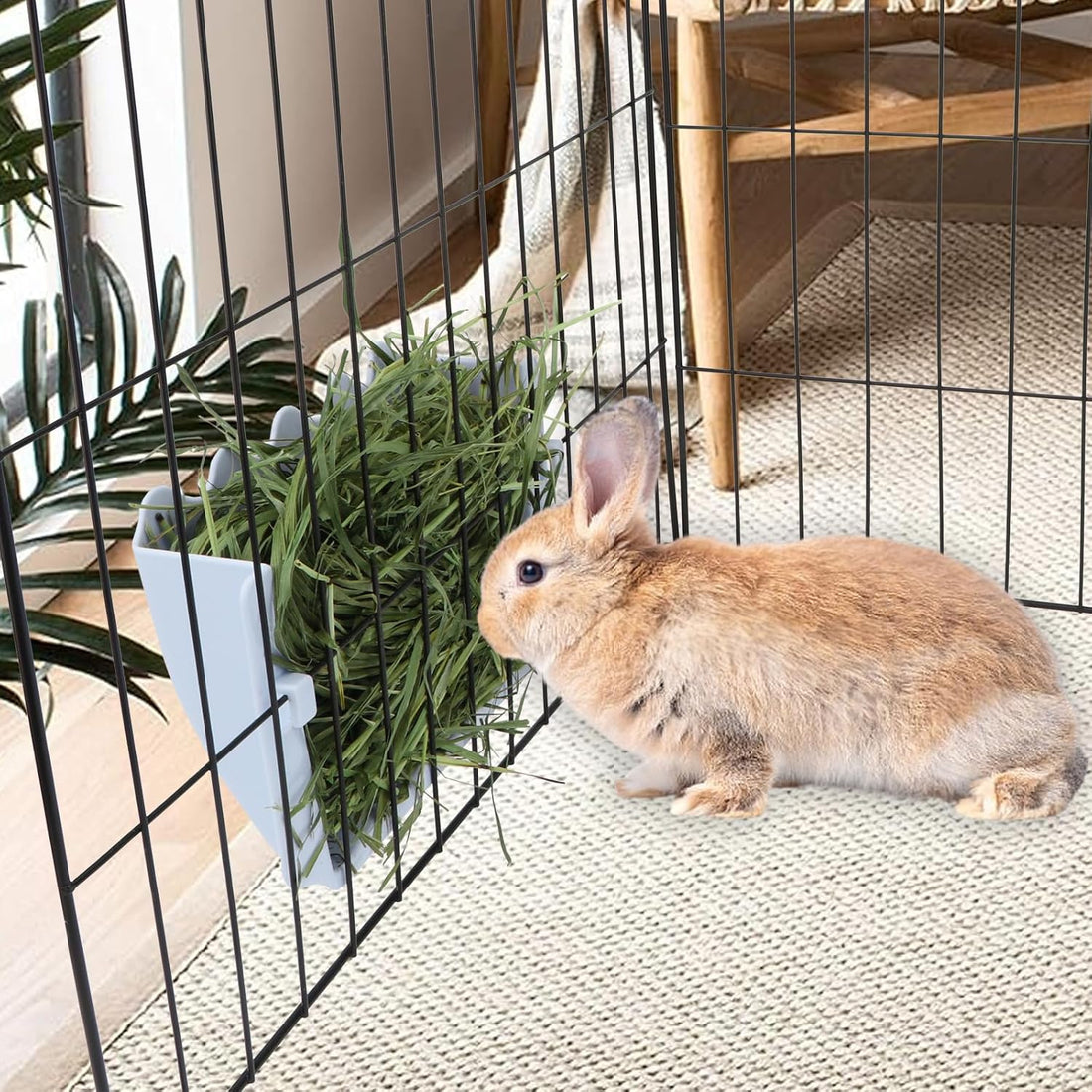 Hypeety Rabbit Hay Feeder Automatic Hay Rack for Guinea Pigs