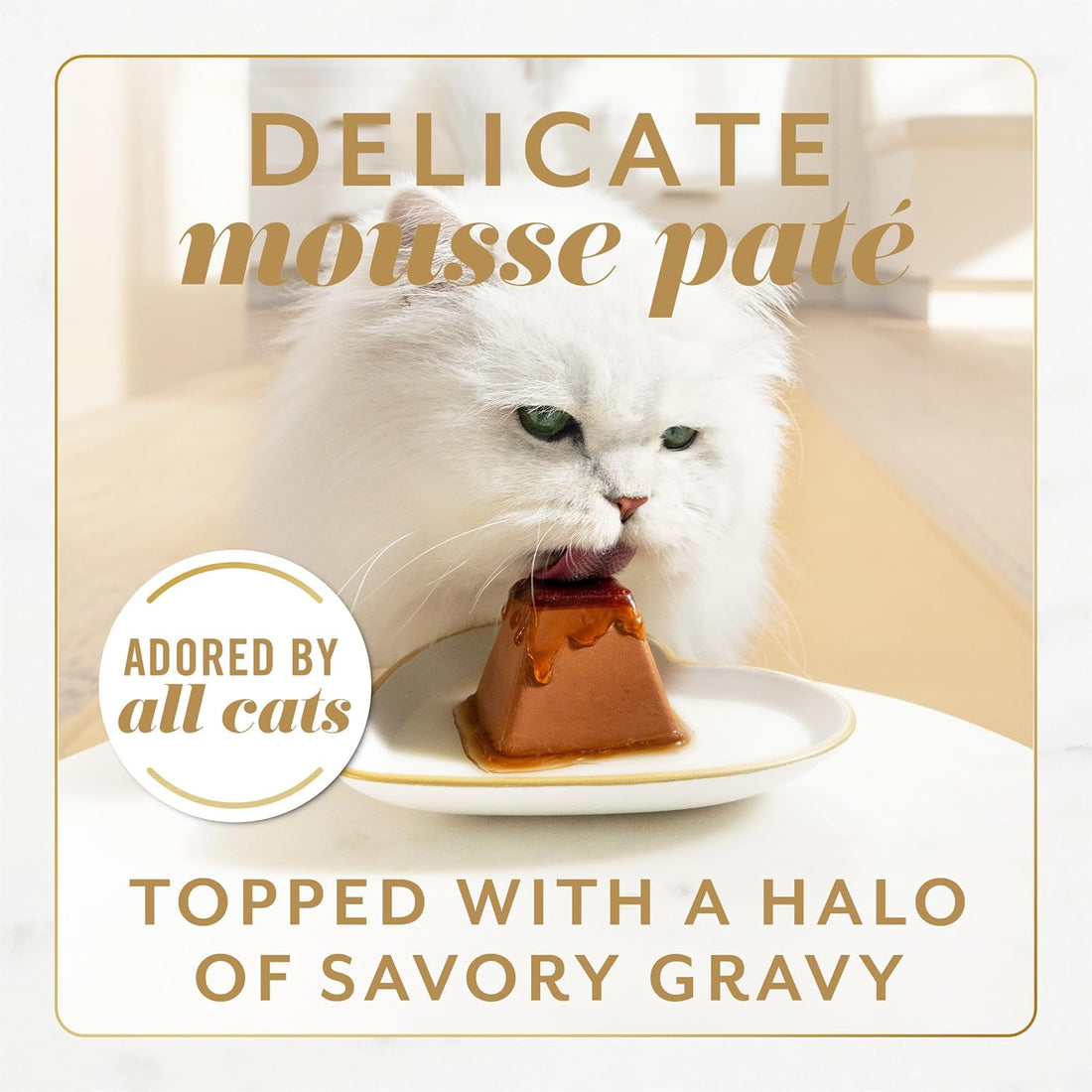Fancy Feast Gems Pate Cat Food Mousse Salmon or Tuna and a Halo