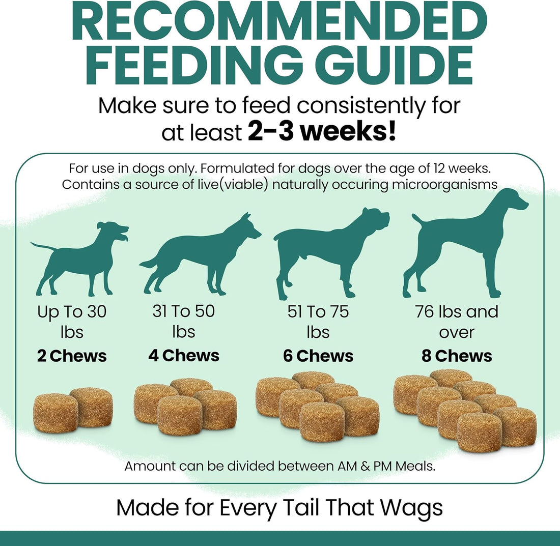 Dog Multivitamin Chewable - Chew + Heal 12-in-1, 60 Ct, Puppy